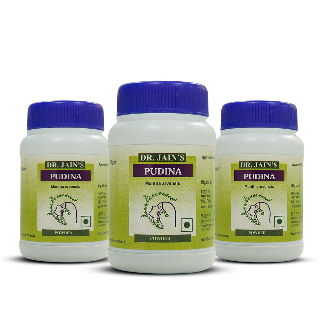 Pudina Ayurvedic Powder 45g pack of 3