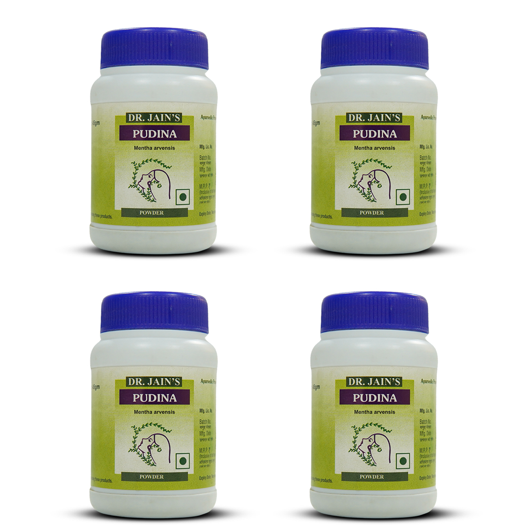 Pudina Ayurvedic Powder 45g pack of 4