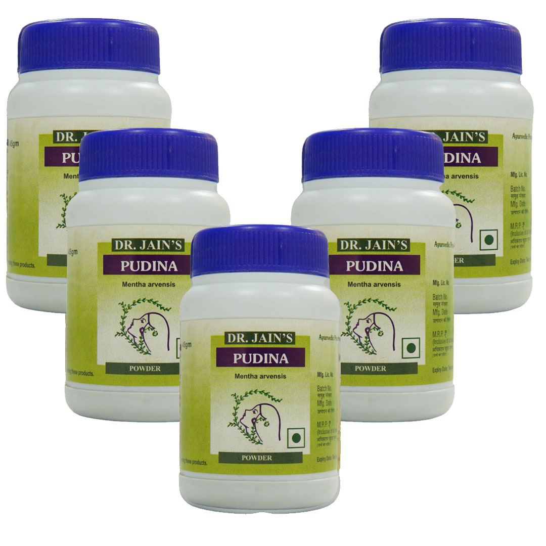 Pudina Ayurvedic Powder 45g pack of 5